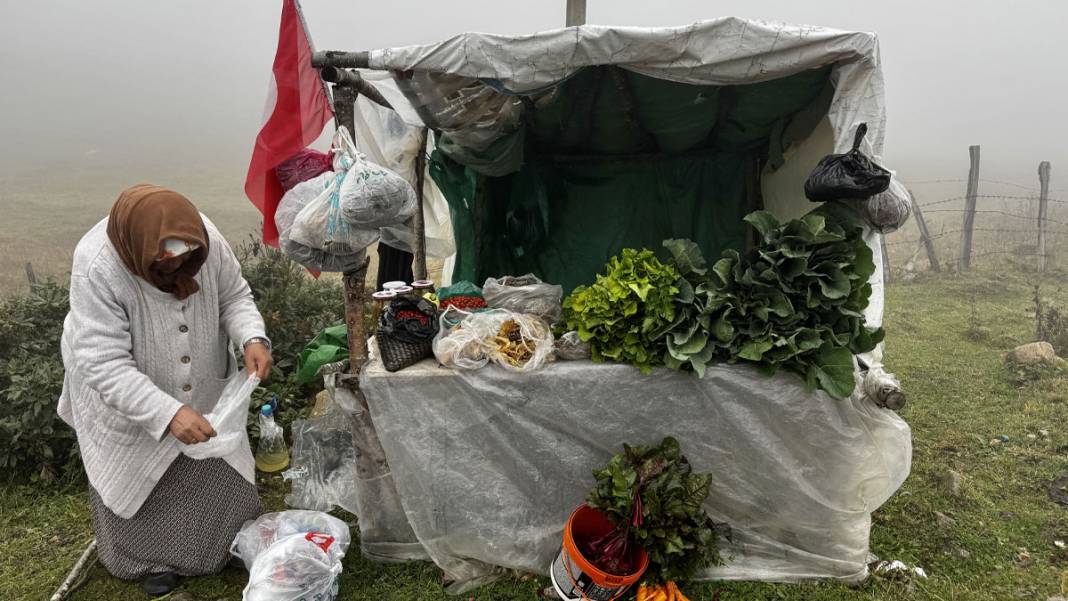 Karadeniz yaylalarında dönüş başladı: Çobanların sisli ve zorlu yolculuğu 5